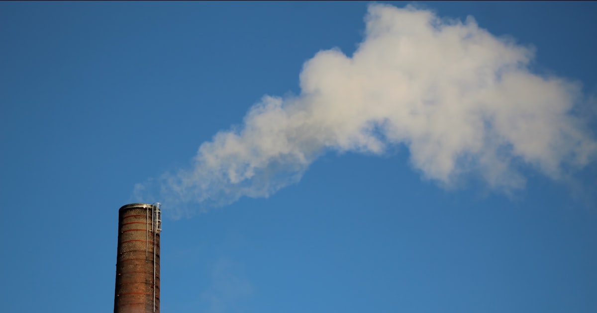 Biomass and Scope 1 reporting: does it actually cut your emissions?