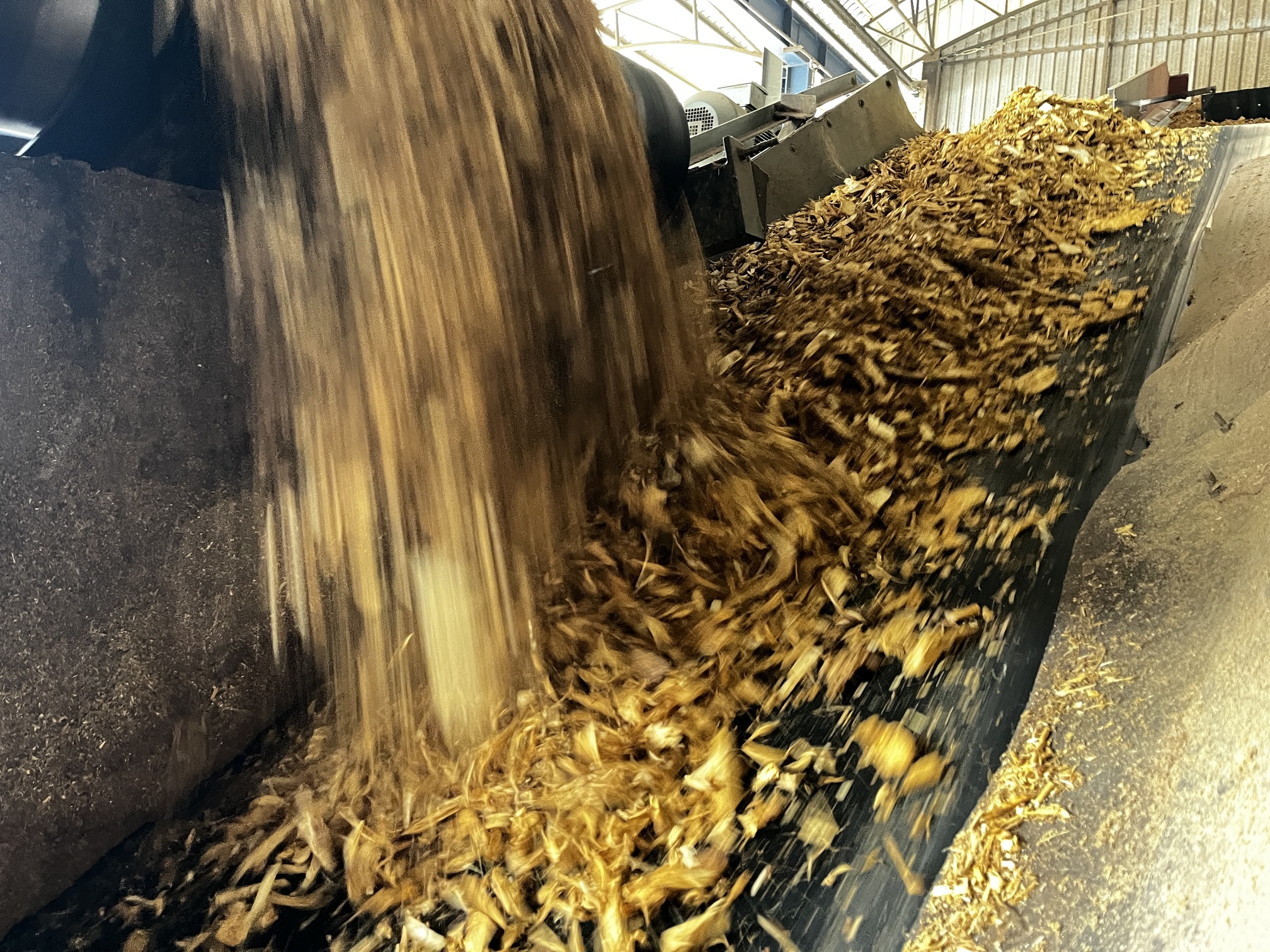 Biomass energy from rubberwood